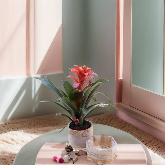 Hydroflow Übertopf Set Terrakotta