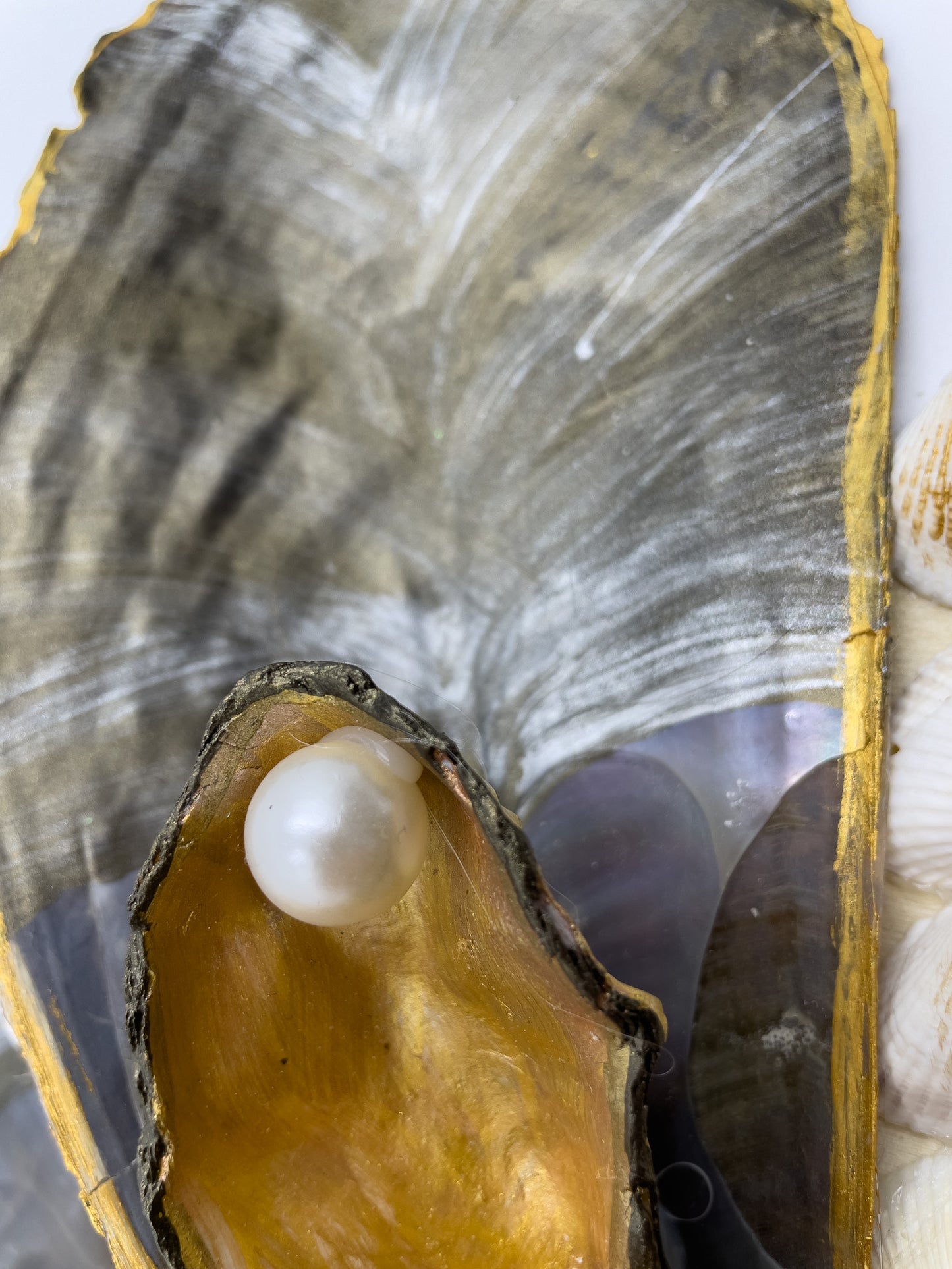 Steckmuschel Blume extravagant